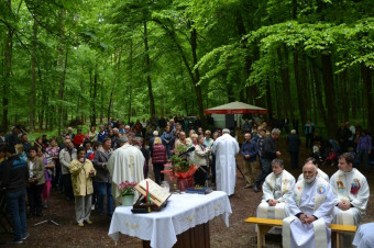 Sveti Vid - maša za delavce in kmete