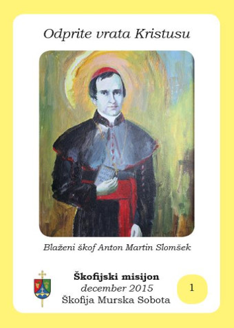 Začel se je škofijski misijon