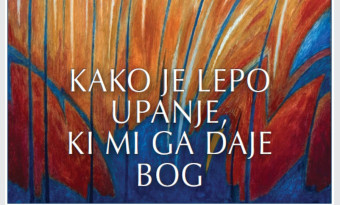 Teden za življenje 2017