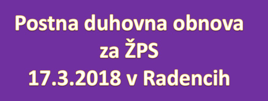 Banner Škofija Murska Sobota