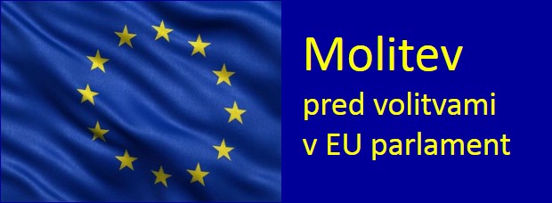Banner Škofija Murska Sobota