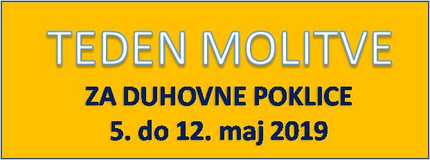 Banner Škofija Murska Sobota