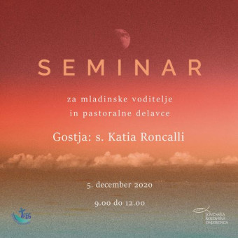 Seminar za mladinske voditelje in pastoralne delavce