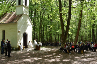 Sv. Vid - maša za delavce in kmete