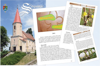 Literarni natečaj